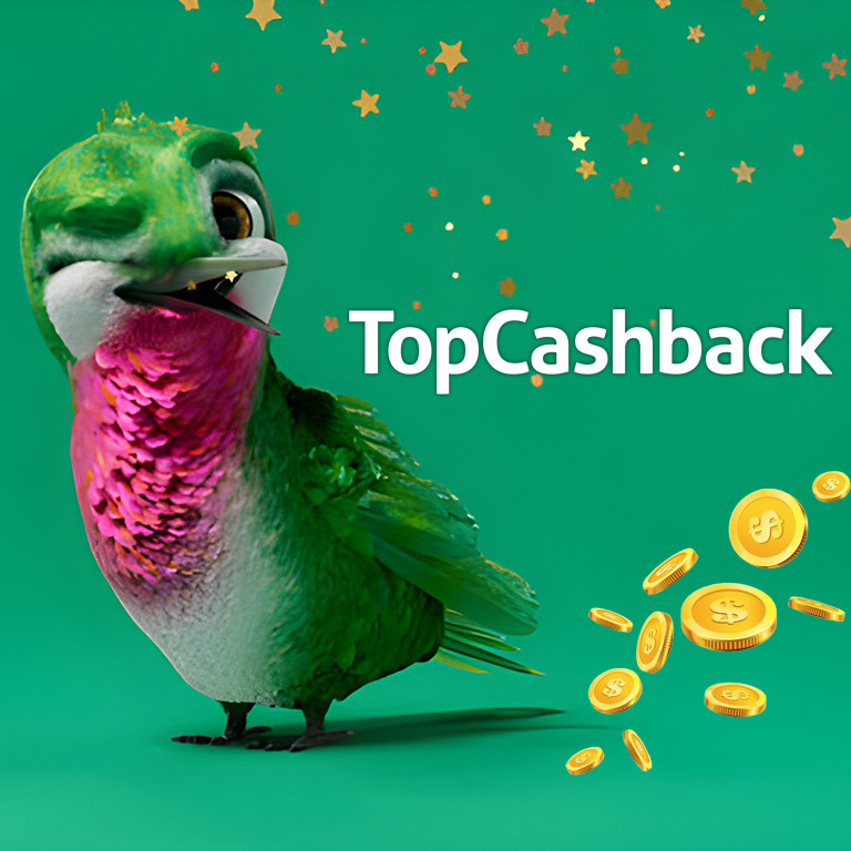 TopCashback Blink